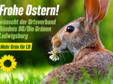 Sharepic mit Bild von einem Hasen auf einer Wiese, dazu die Aufschrift: Frohe Ostern wünscht der Ortsverband Bündnis 90/Die Grünen Ludwigsburg.