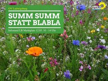 Sharepic mit Bild von einer Blumenwiese, darauf die Aufschrift: Summ summ statt Blabla.